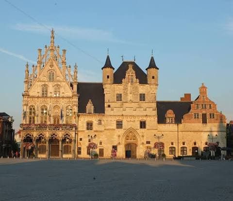 Vroedvrouw voor Mechelen